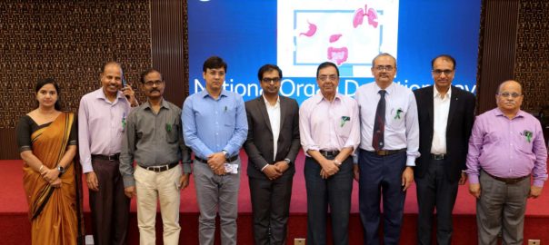 jpeg-optimizer_3I4A8070